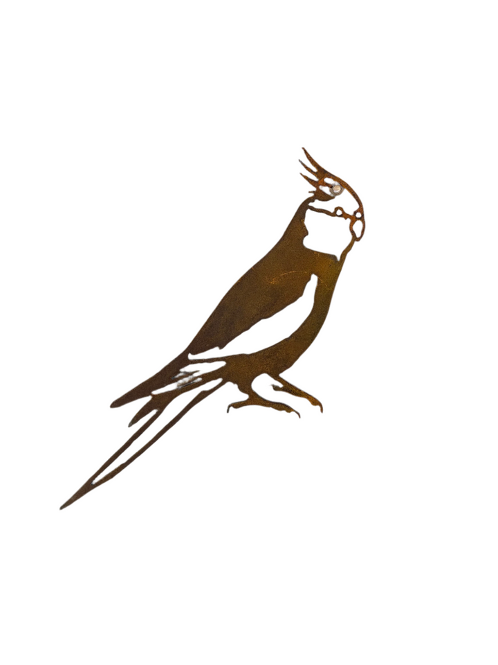 Cockatiel Metal Art Garden Art-Old n Dazed