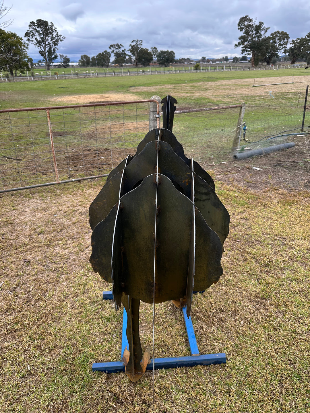 Outback Strider – Australian Metal Emu Sculpture-Old n Dazed