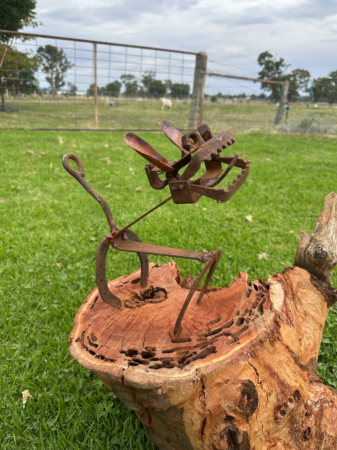 Trap Dog - Metal Garden Sculpture - Garden Art-Old n Dazed