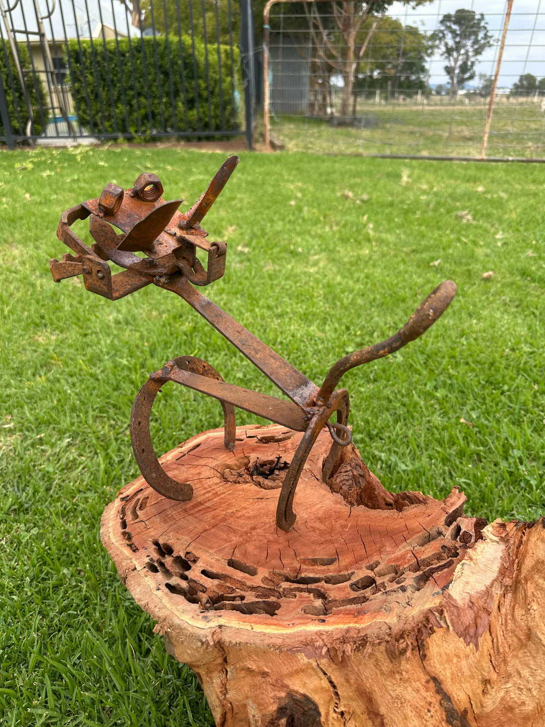 Trap Dog - Metal Garden Sculpture - Garden Art-Old n Dazed