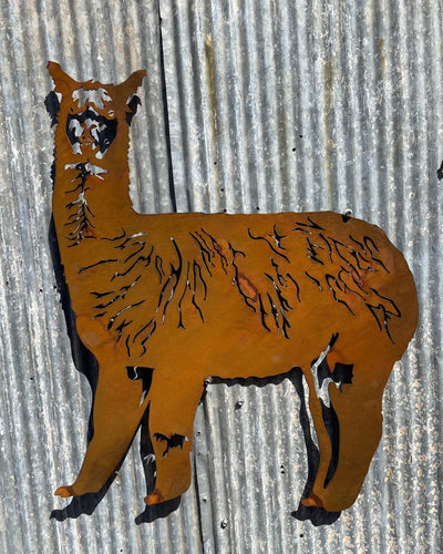 Alpaca Metal Wall Art - Animal-Old n Dazed