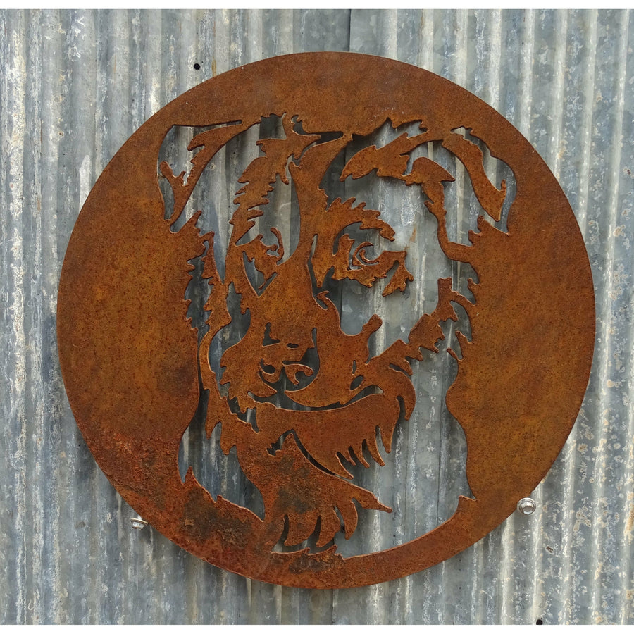 Border Collie Metal Wall Art-Old n Dazed
