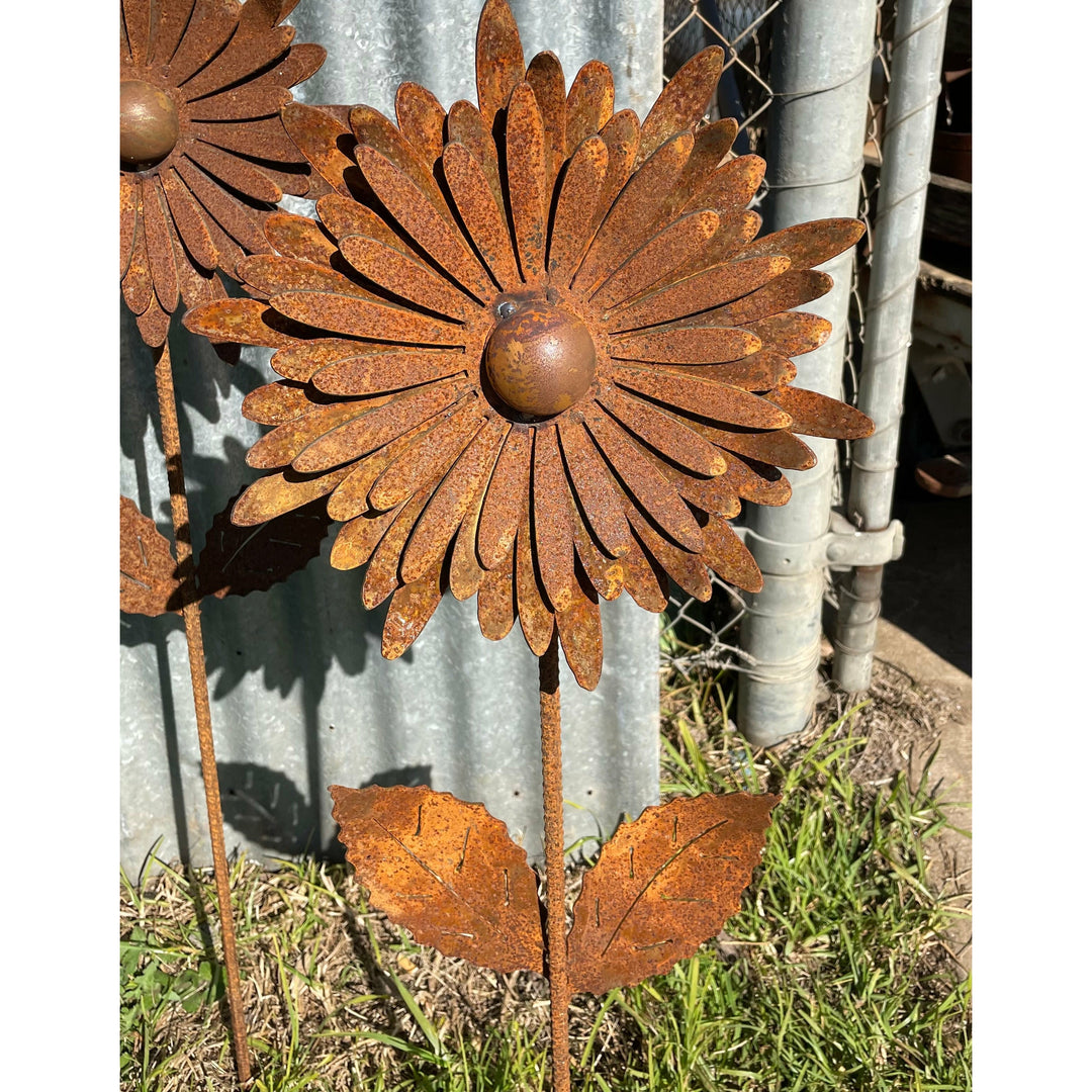 Chrysanthemum Flower 1000mm tall-Old n Dazed
