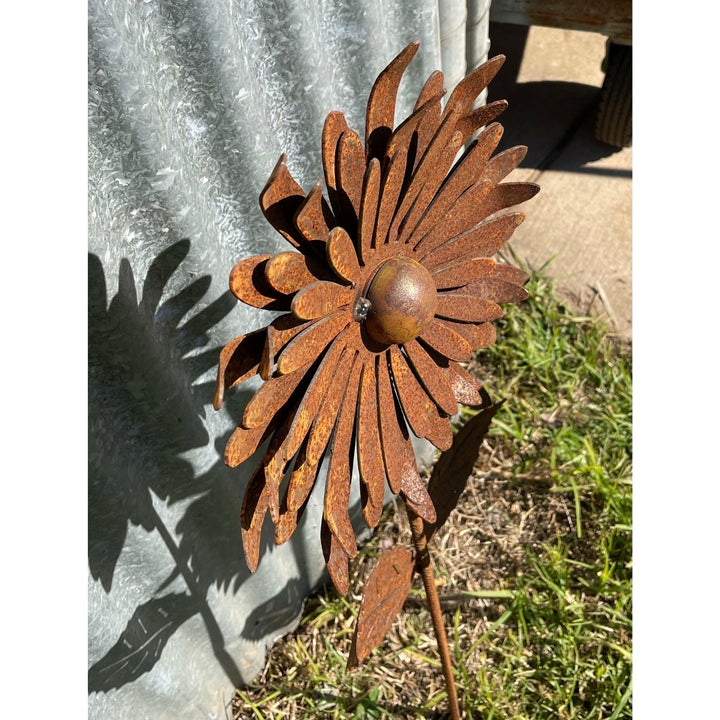 Chrysanthemum Flower 1000mm tall-Old n Dazed