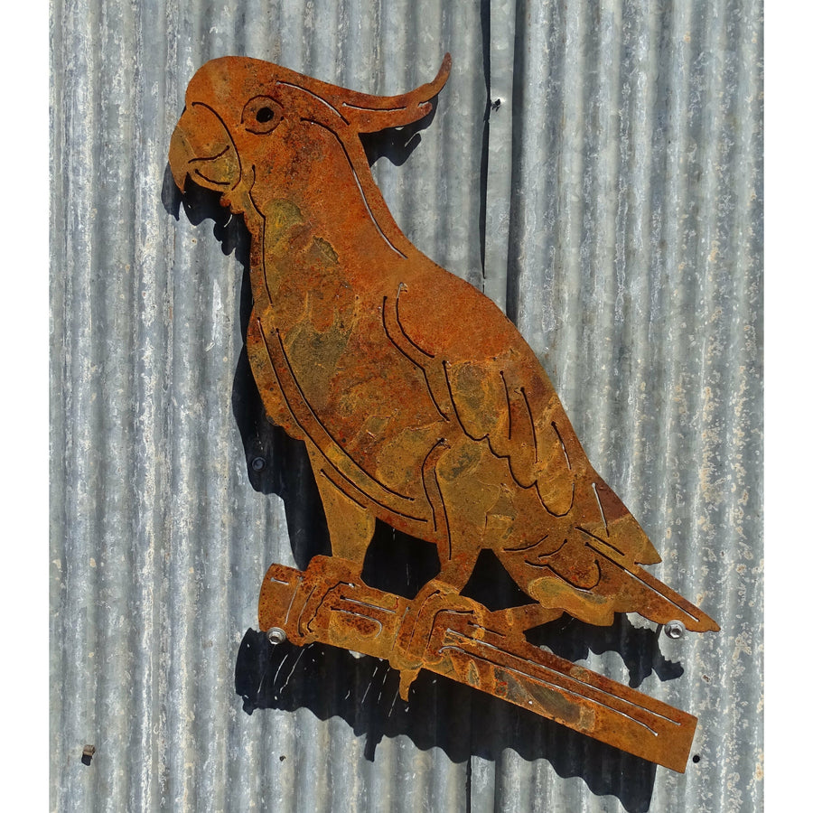 Cockatoo Metal Wall Art-Old n Dazed