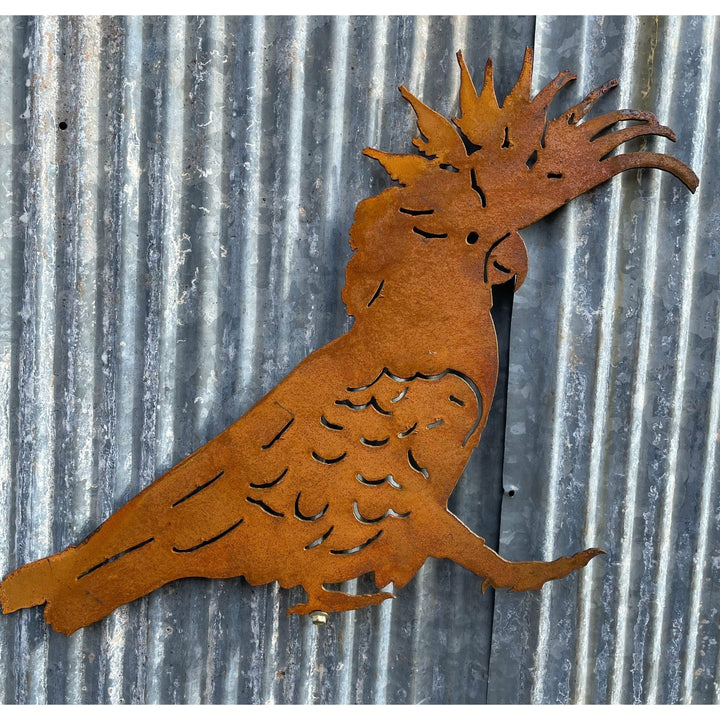 Cockatoo Metal Wall Art-Old n Dazed