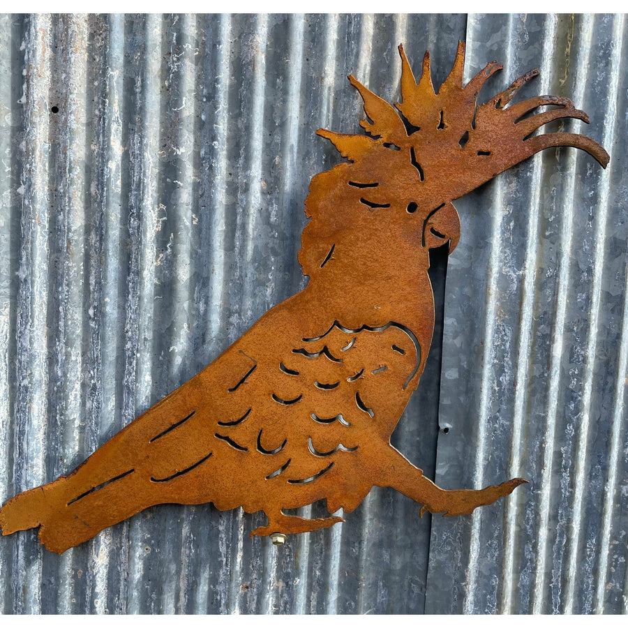 Cockatoo Metal Wall Art-Old n Dazed