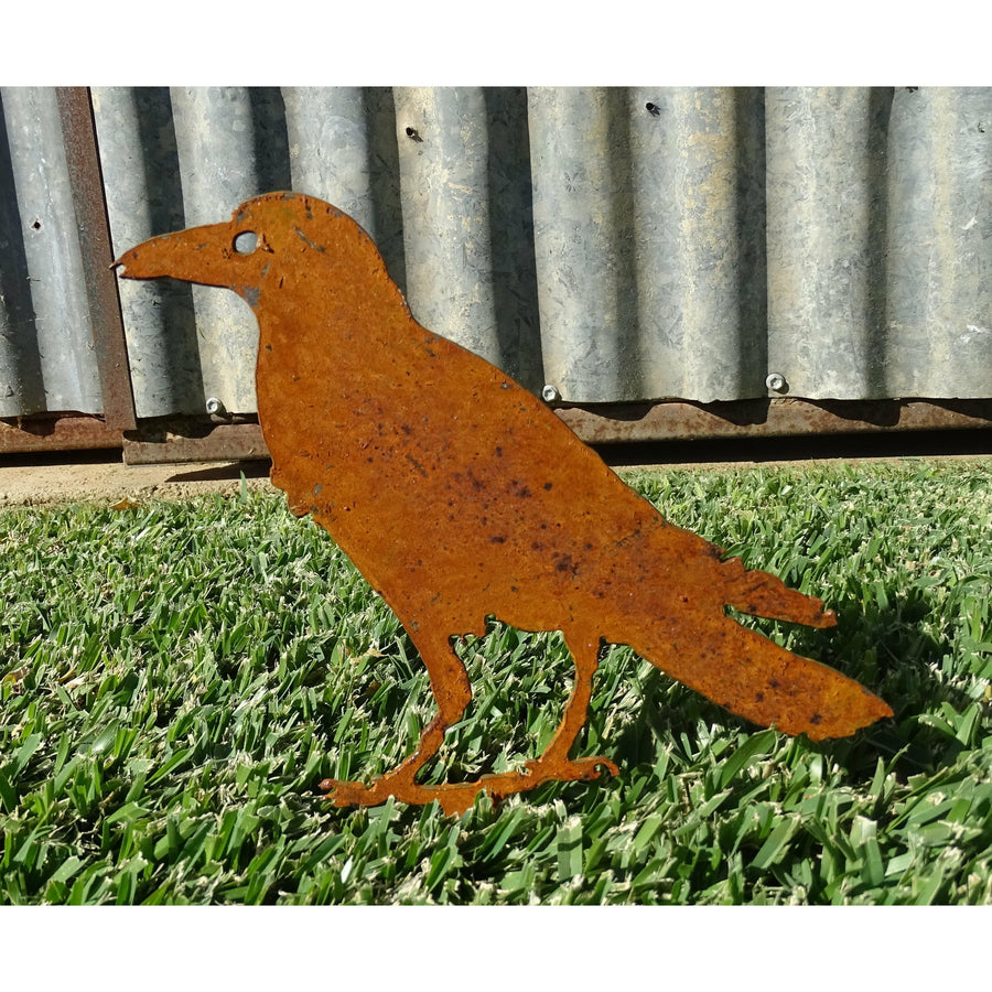Crow Metal Garden Art-Old n Dazed