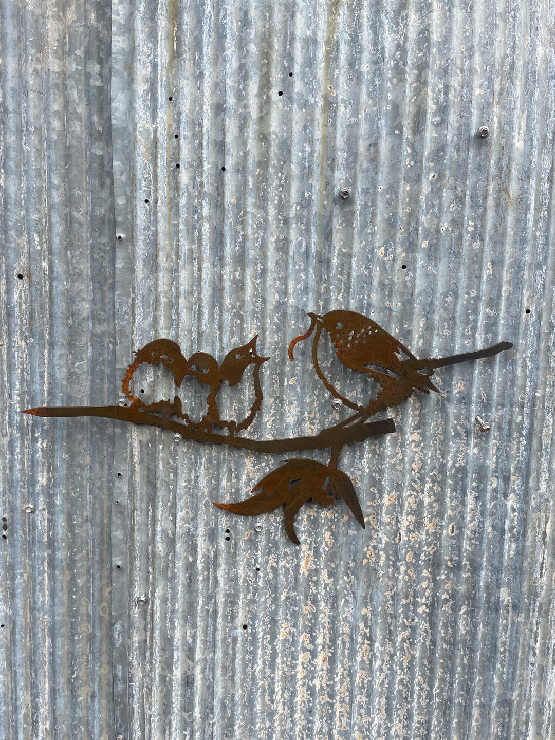Wren Bird and babies - Metal Wall Art-Old n Dazed