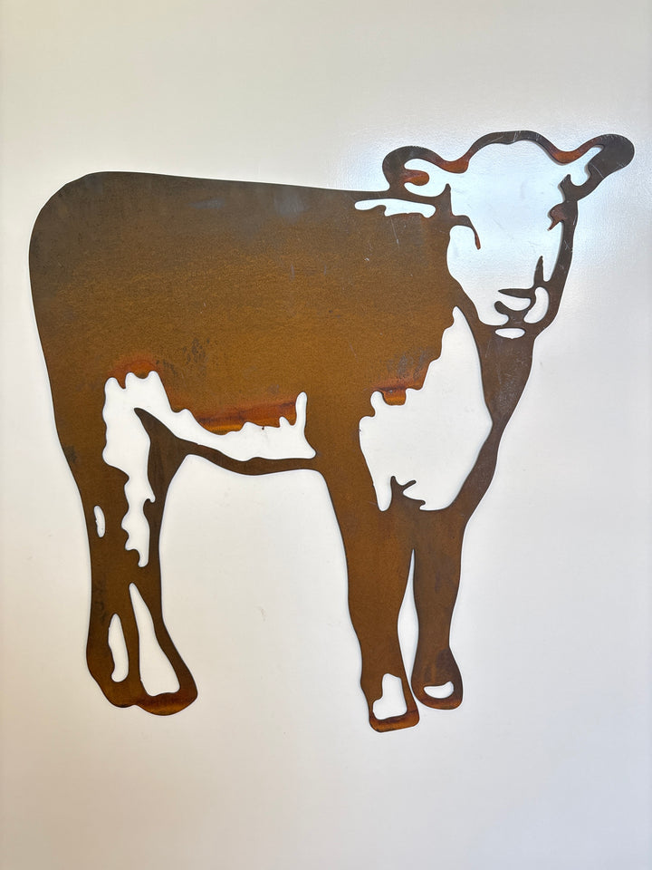 Hereford Calf Metal Wall Art