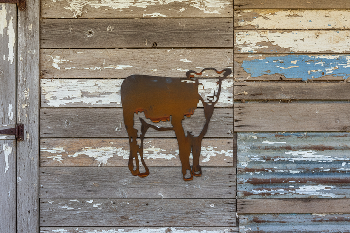 Hereford Calf Metal Wall Art