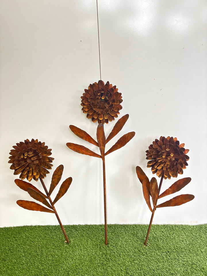 Waratah Flower Metal Art - Garden Art Sculpture