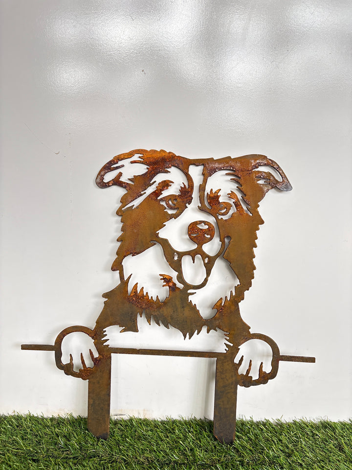 Border Collie - Dog Memorial Plaque - Metal Art