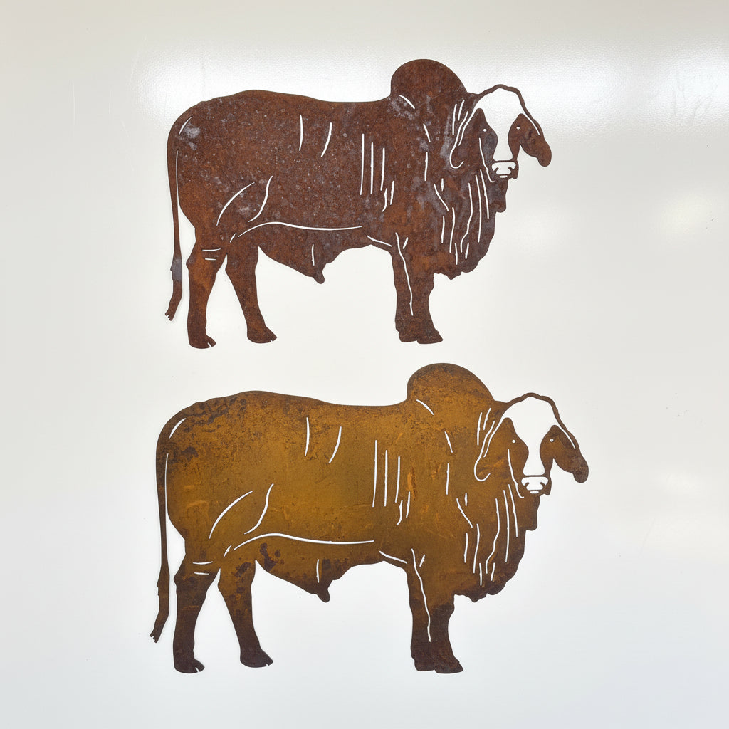 Brahman Bull Metal wall art