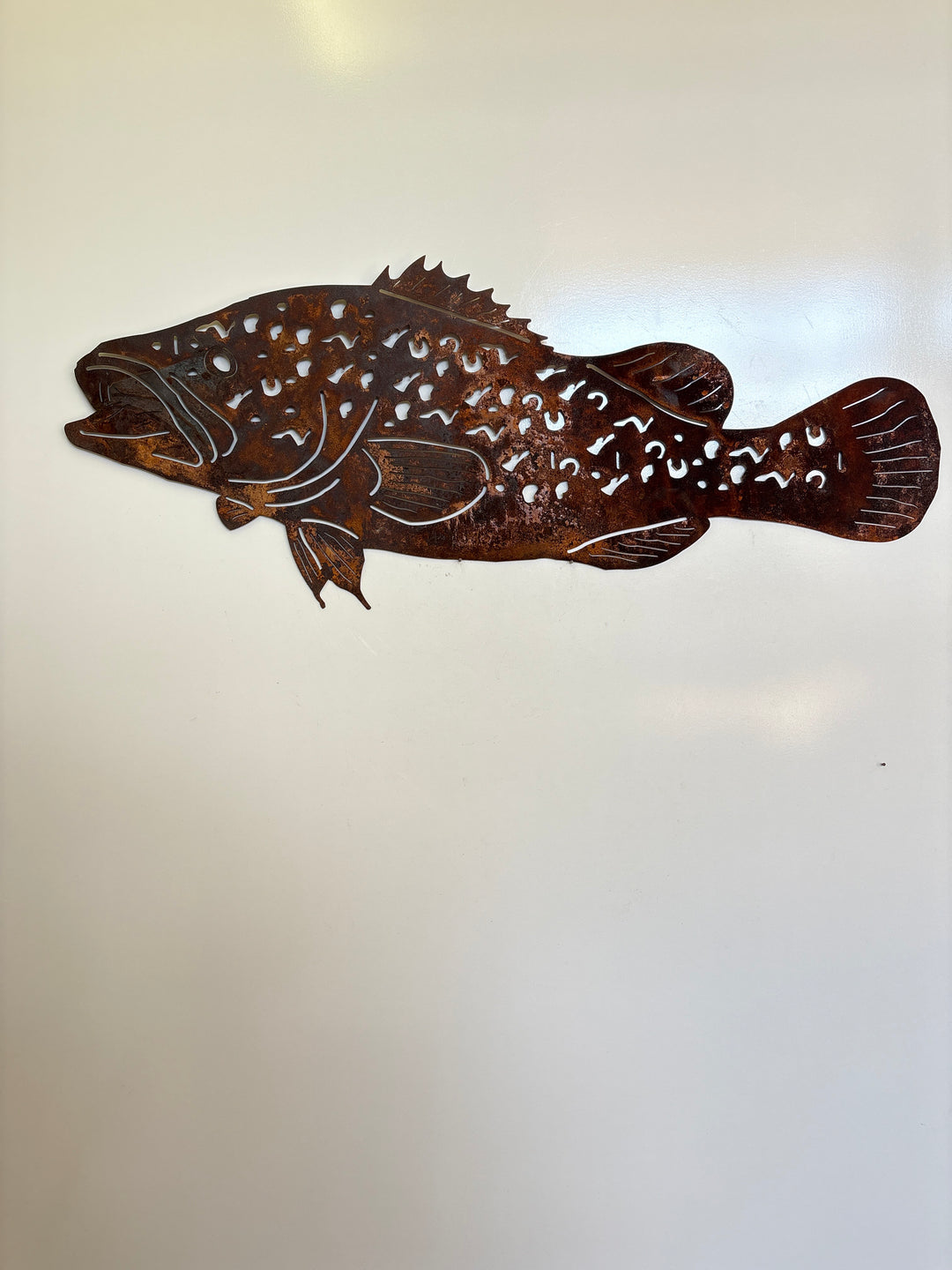 Murray cod fish Metal Wall Art
