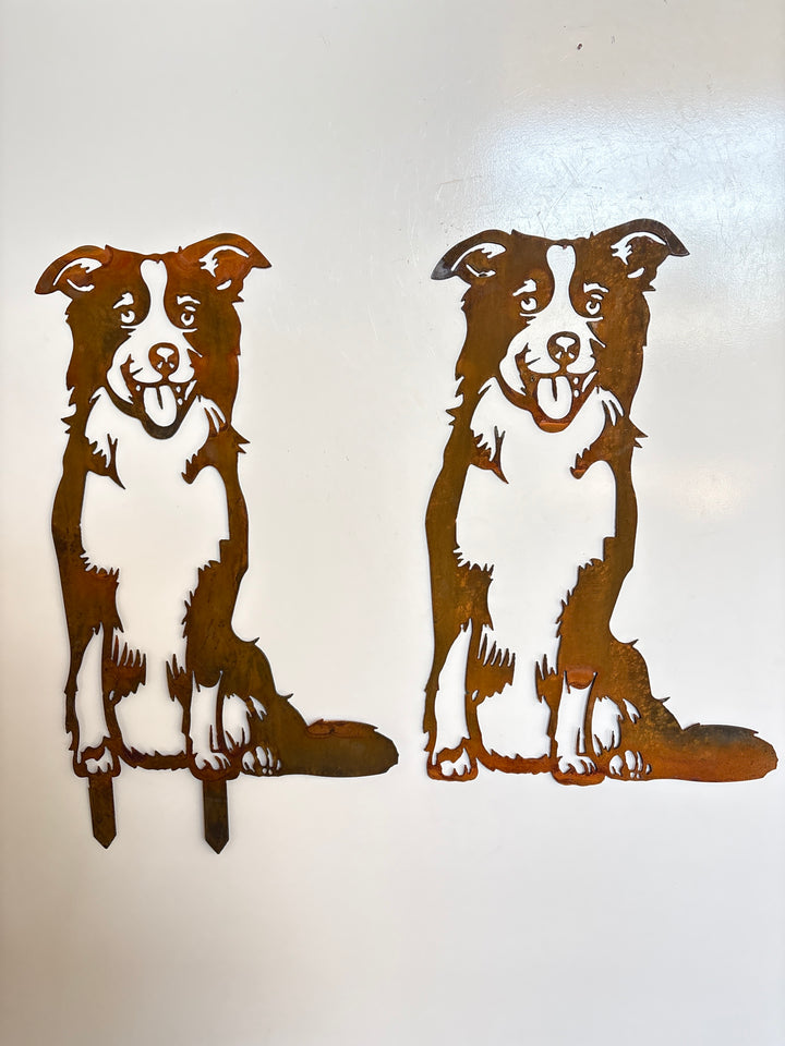 Border Collie Dog Metal Wall Art - Garden Art