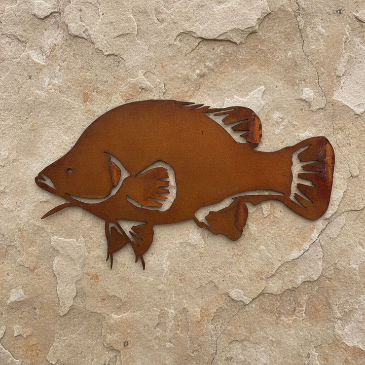 Yellow Belly Golden Perch Metal Wall Art