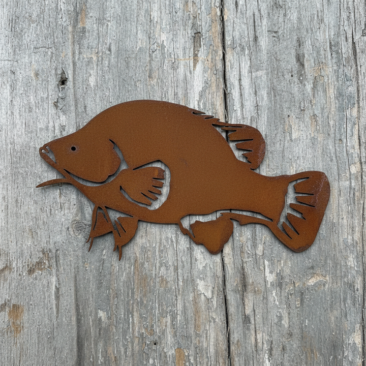 Yellow Belly Golden Perch Metal Wall Art