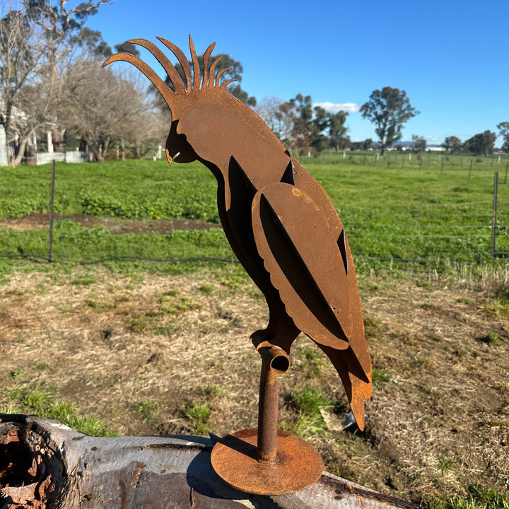 Metal White Cockatoo Sculpture – Australian Native Bird Garden Art