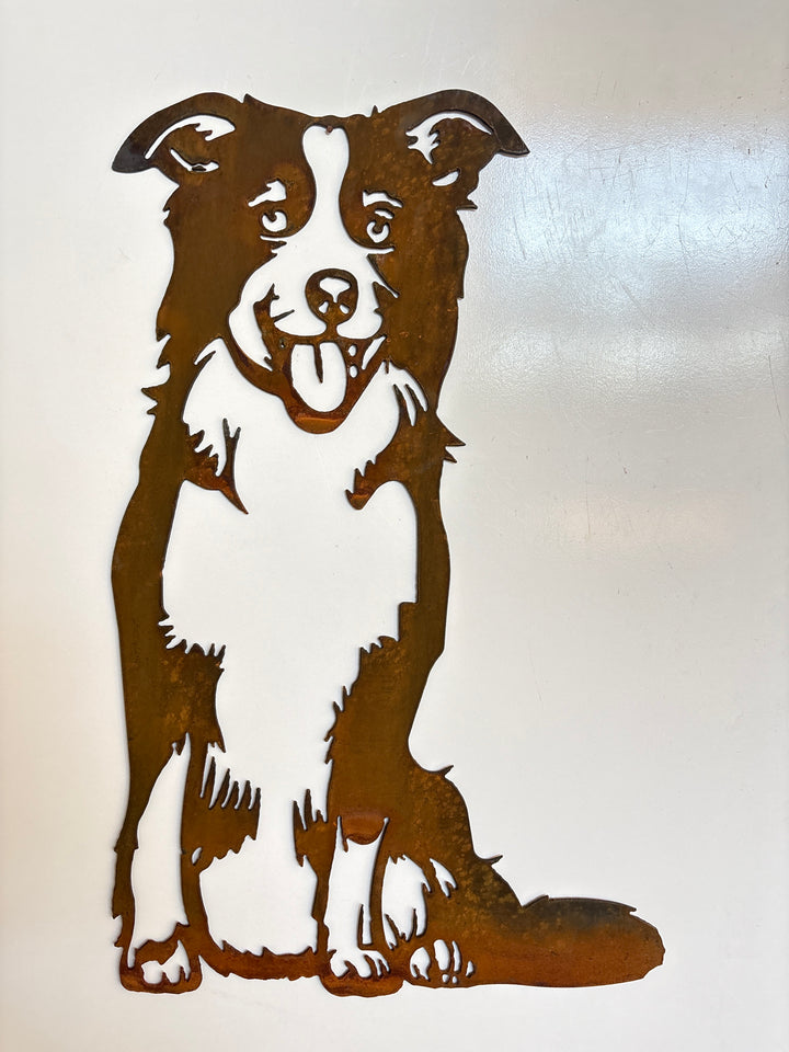 Border Collie Dog Metal Wall Art - Garden Art