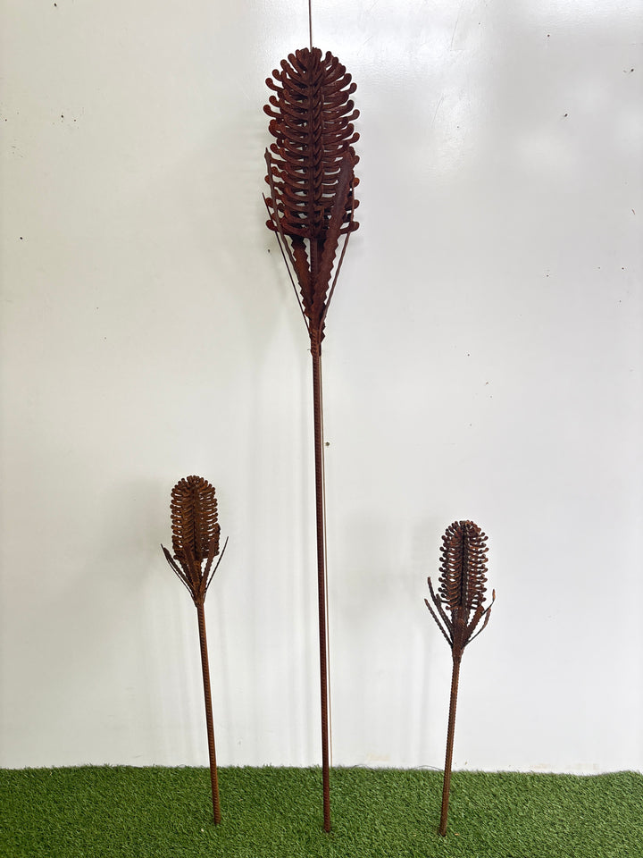 Banksia (small or medium) Metal Garden Art