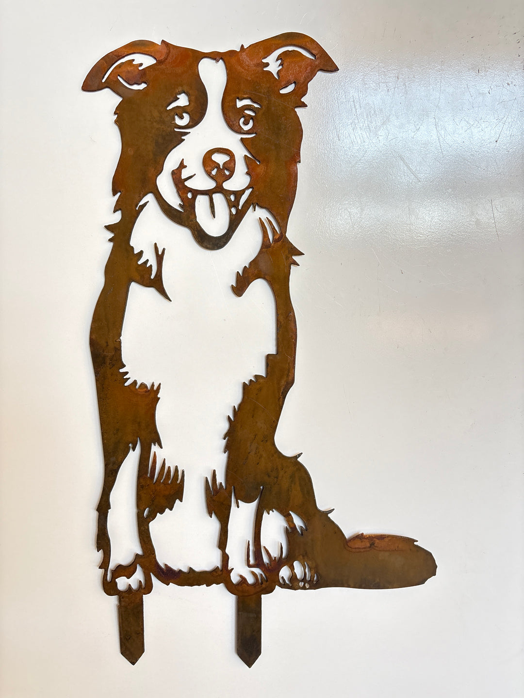 Border Collie Dog Metal Wall Art - Garden Art