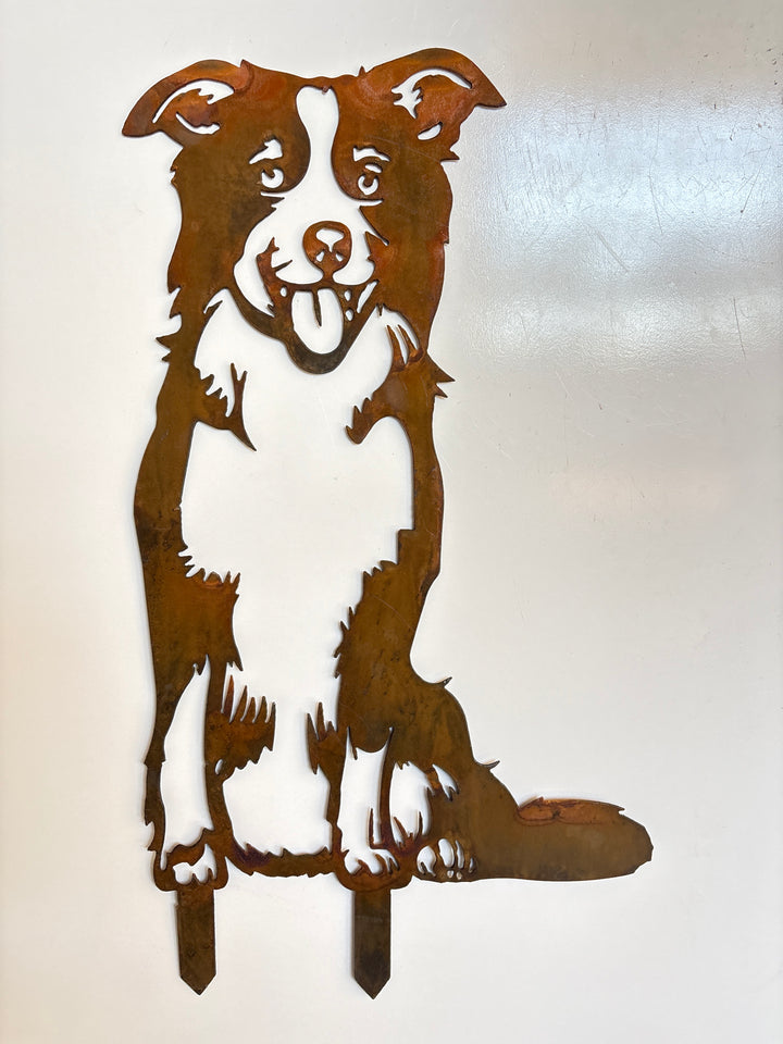Border Collie Dog Metal Wall Art - Garden Art