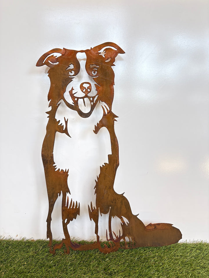 Border Collie Dog Metal Wall Art - Garden Art