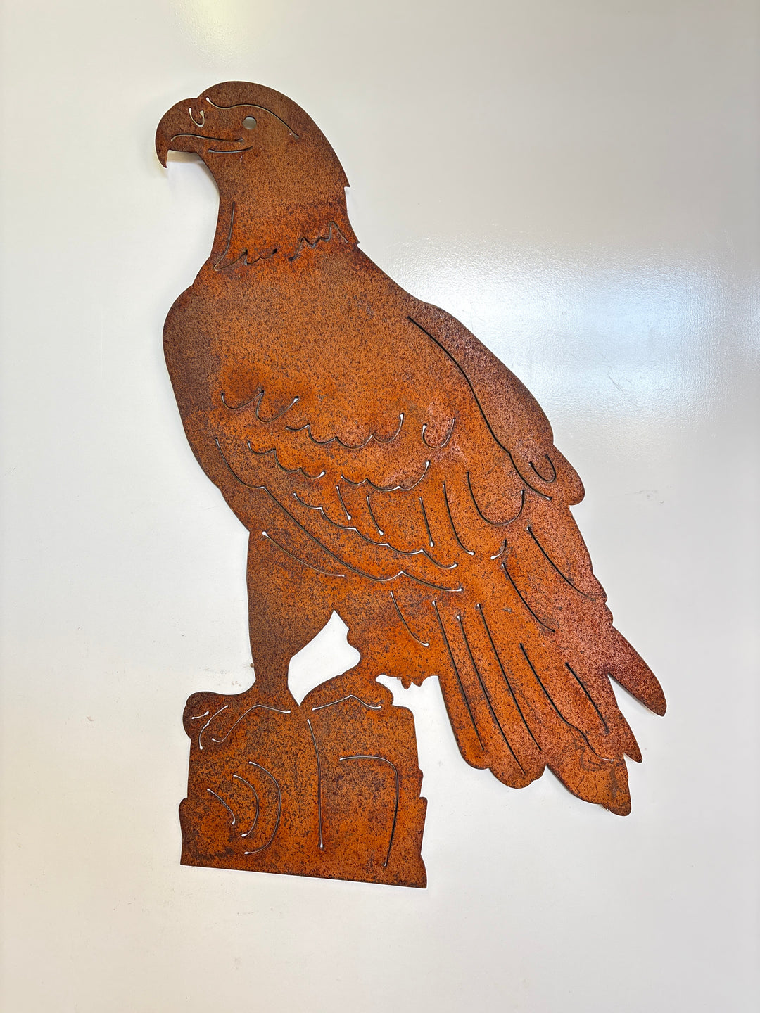 Eagle Metal Wall Art nd234