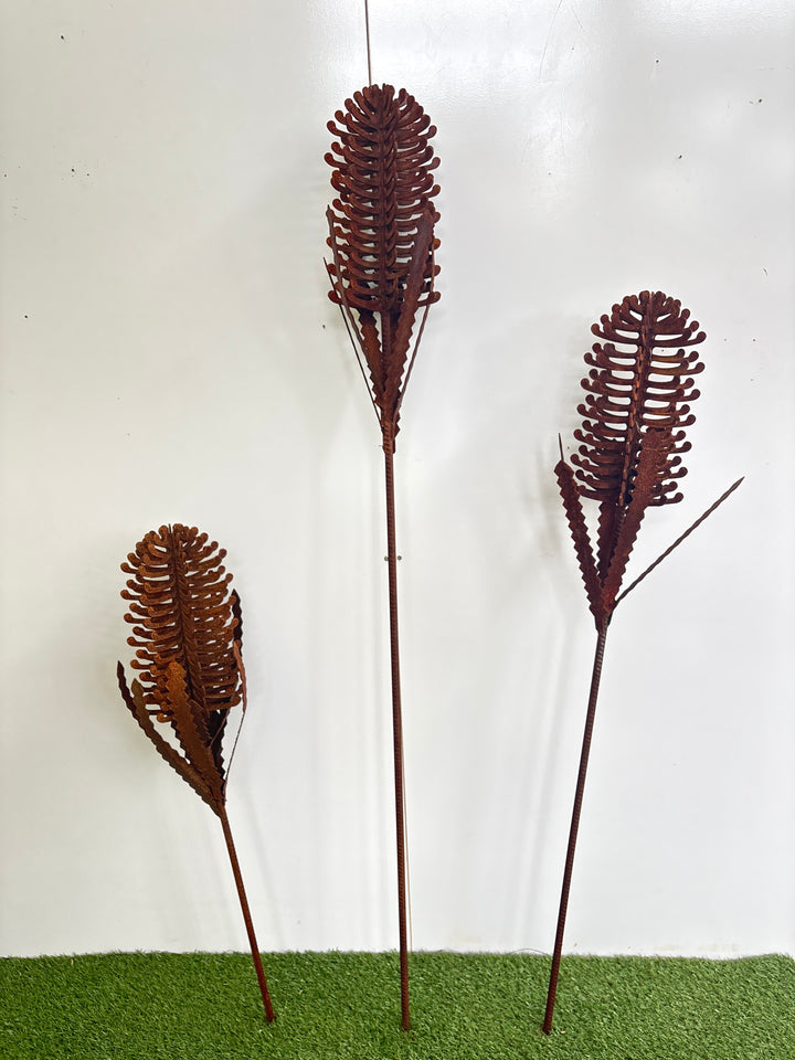 Banksia (small or medium) Metal Garden Art