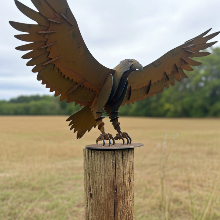 Wedge Tailed Eagle - Metal Sculpture - Garden Features