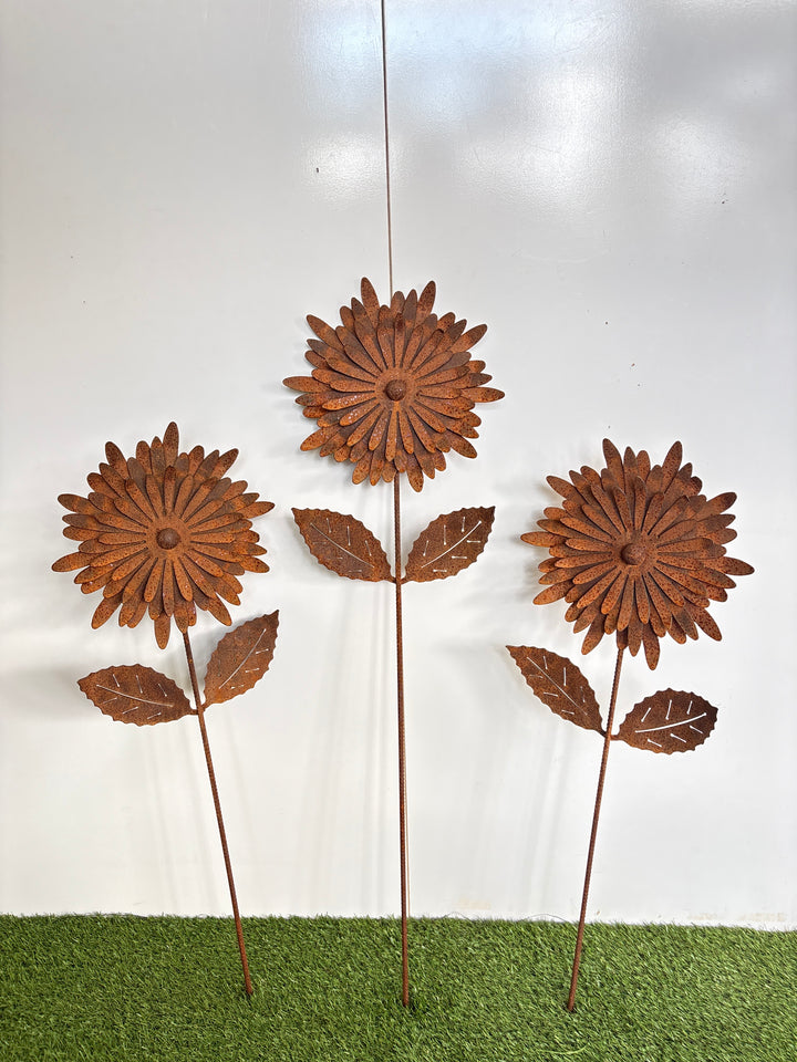 Chrysanthemum Flower 1000mm tall