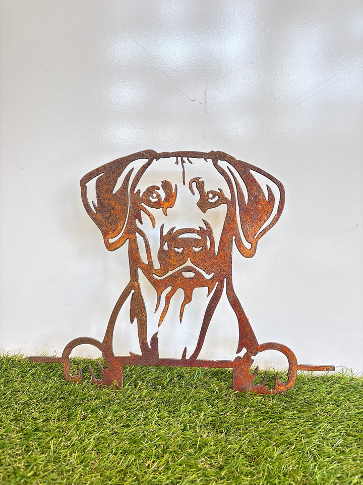 Rhodesian Ridgeback  - Dog Memorial Plaque - Metal Art