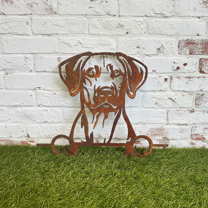 Rhodesian Ridgeback - Dog Memorial Plaque - Metal Art
