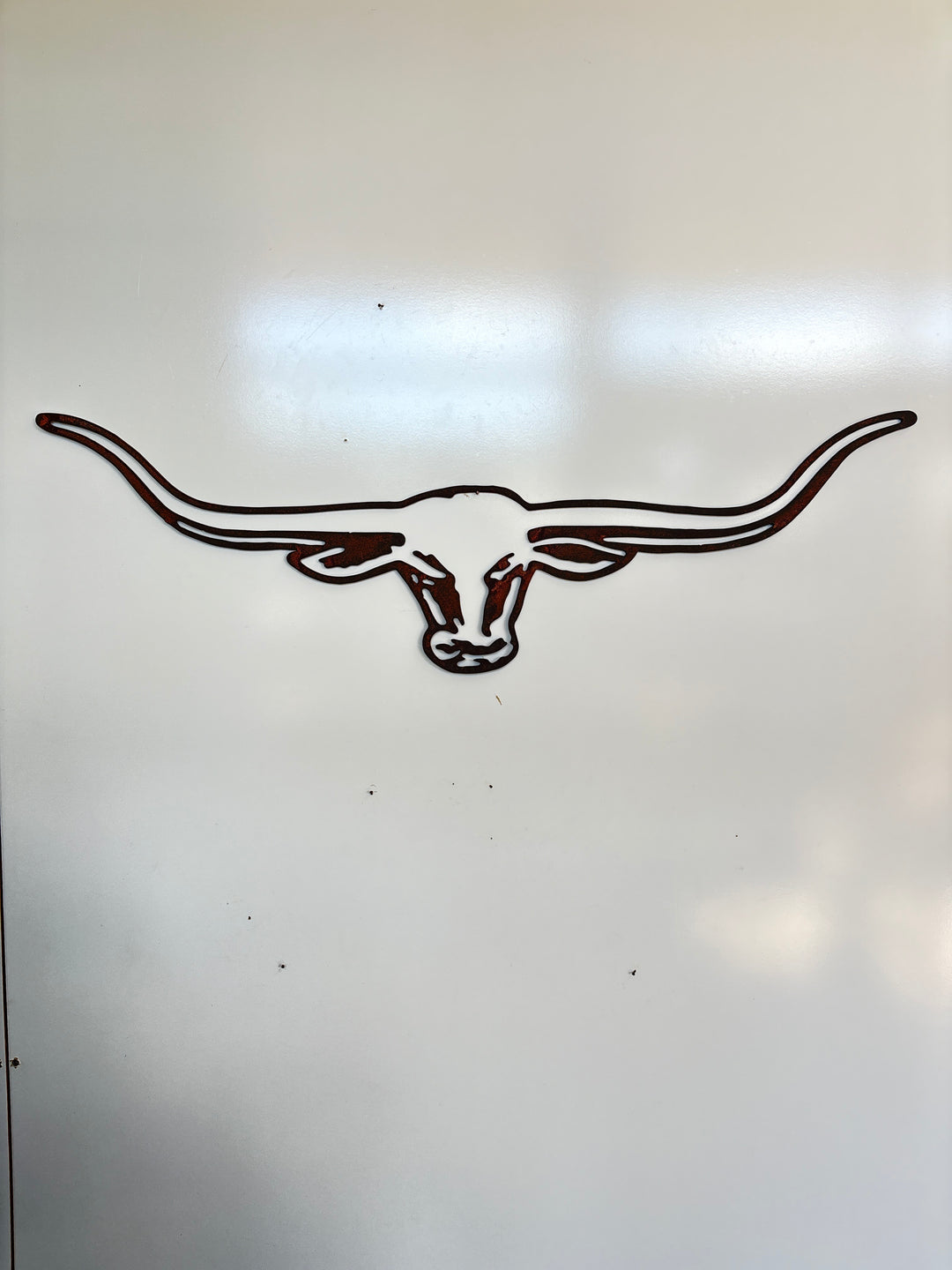 Long horns Metal Wall Art