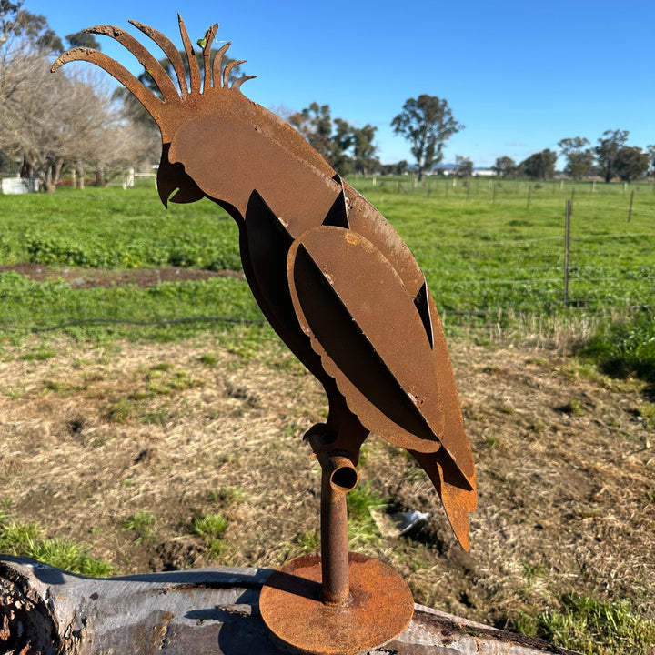 Metal White Cockatoo Sculpture – Australian Native Bird Garden Art