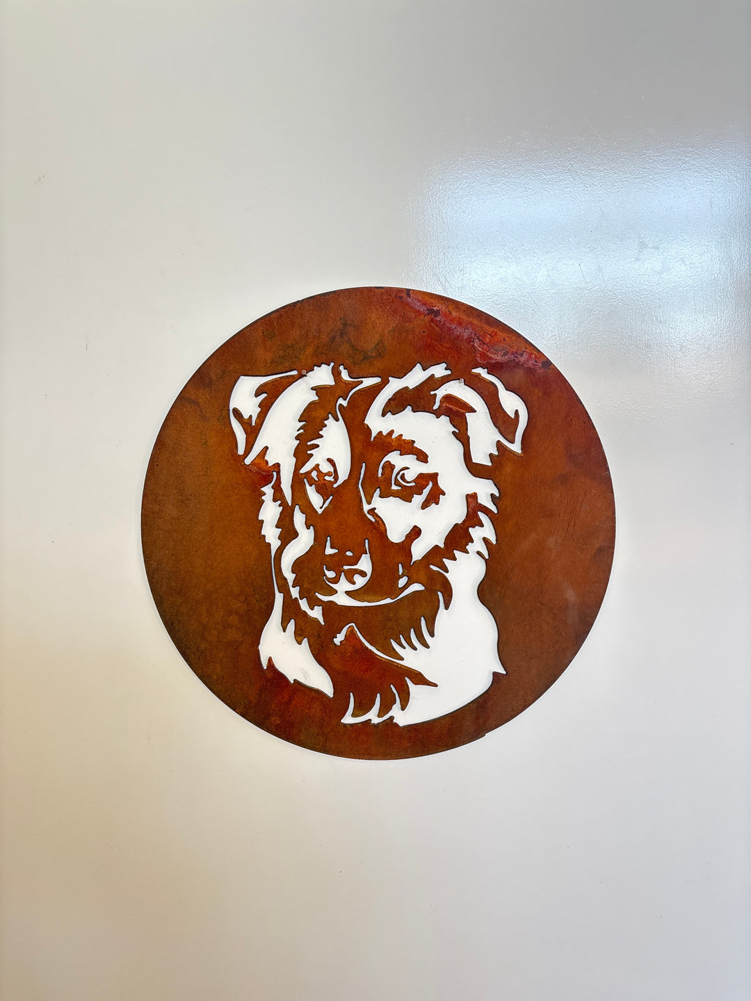 Border Collie Metal Wall Art