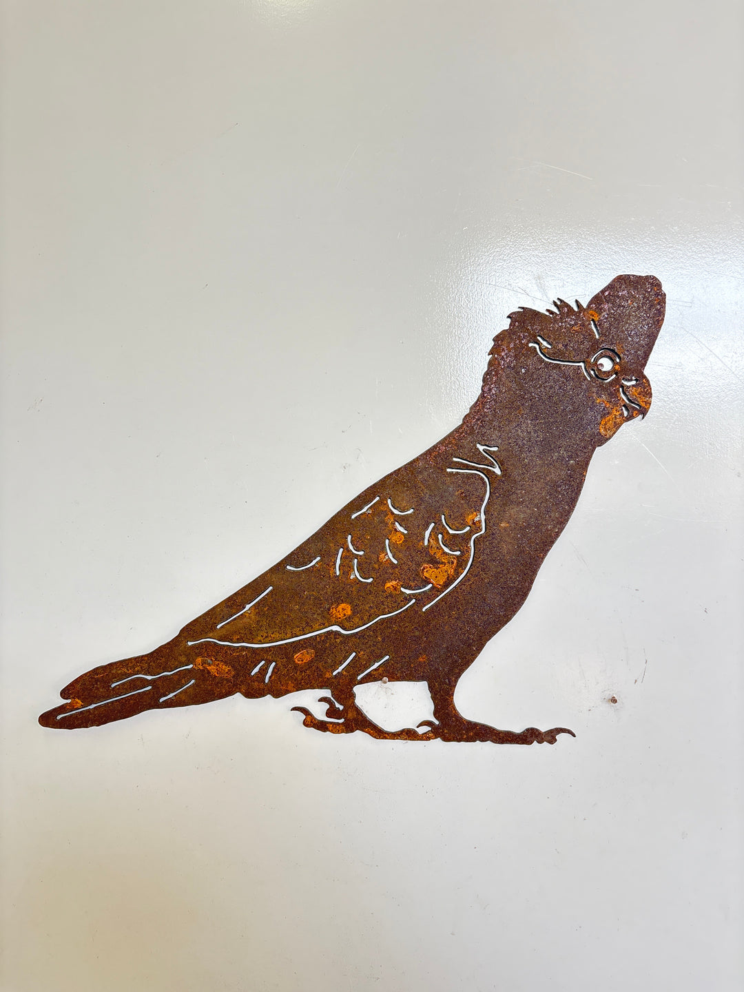 Galah Metal Wall Art - Garden Art