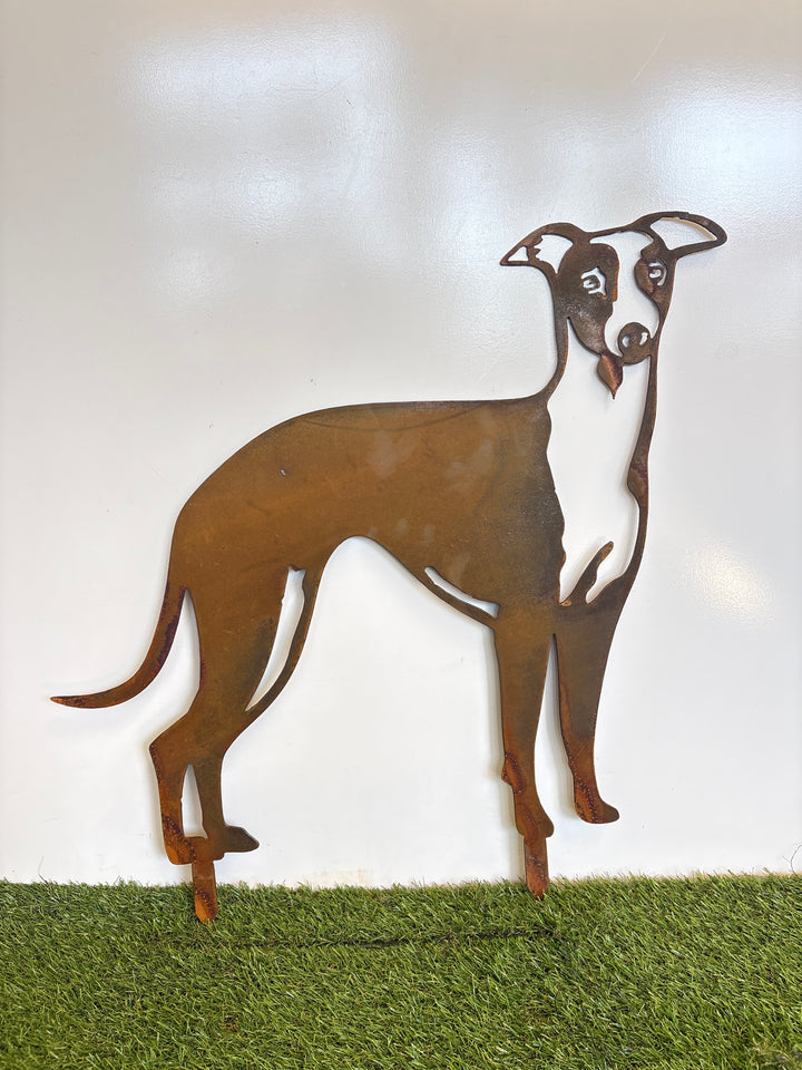 Whippet Dog Metal Wall Art - Garden Art
