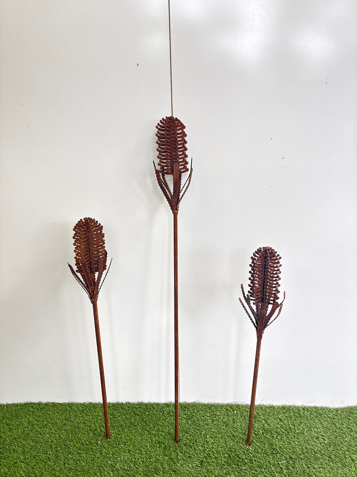 Banksia (small or medium) Metal Garden Art