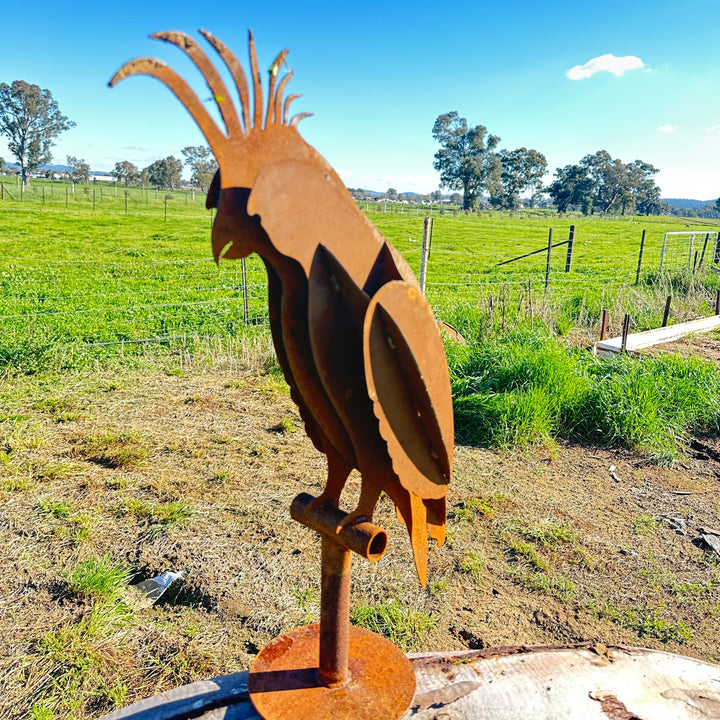Metal White Cockatoo Sculpture – Australian Native Bird Garden Art
