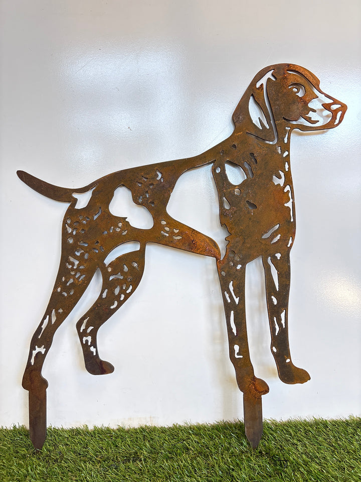 German Short Haired Pointer Gsp Metal Wall Art - Dog Garden Art