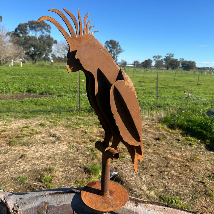 Metal White Cockatoo Sculpture – Australian Native Bird Garden Art