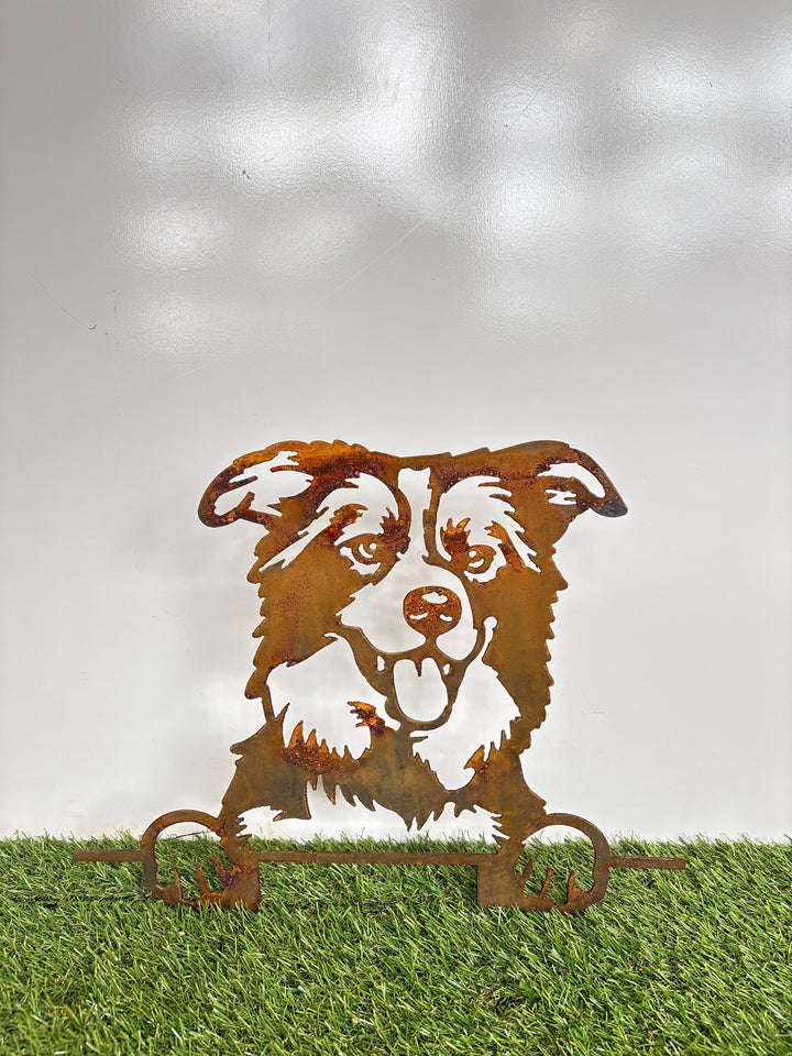 Border Collie - Dog Memorial Plaque - Metal Art