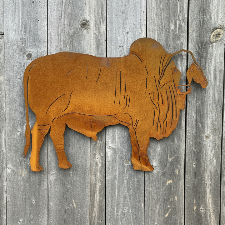 Brahman Bull Metal wall art