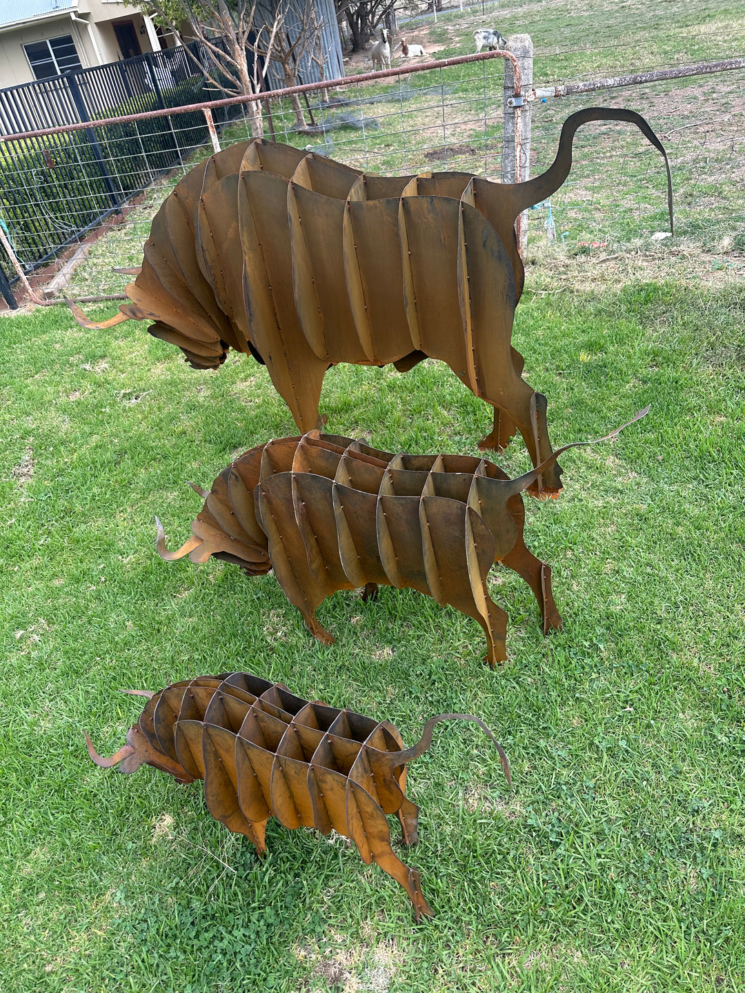 Bull - Metal garden Sculpture - Large Feature - Statement Piece-Old n Dazed