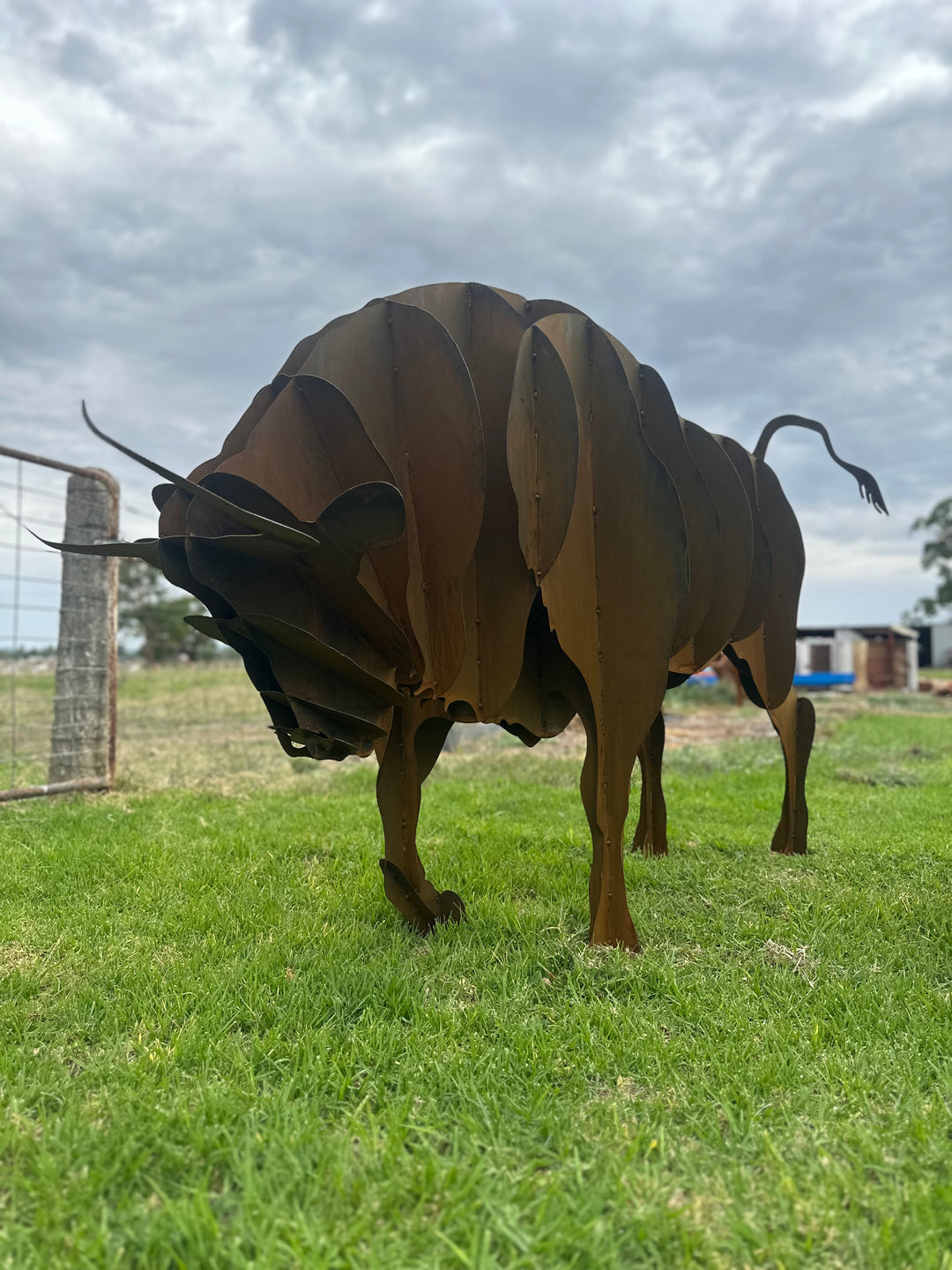 Bull - Metal garden Sculpture - Large Feature - Statement Piece-Old n Dazed