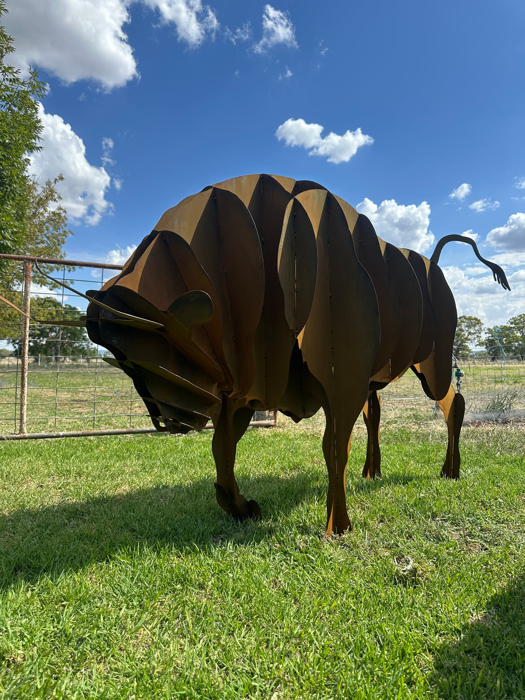 Bull - Metal garden Sculpture - Large Feature - Statement Piece-Old n Dazed