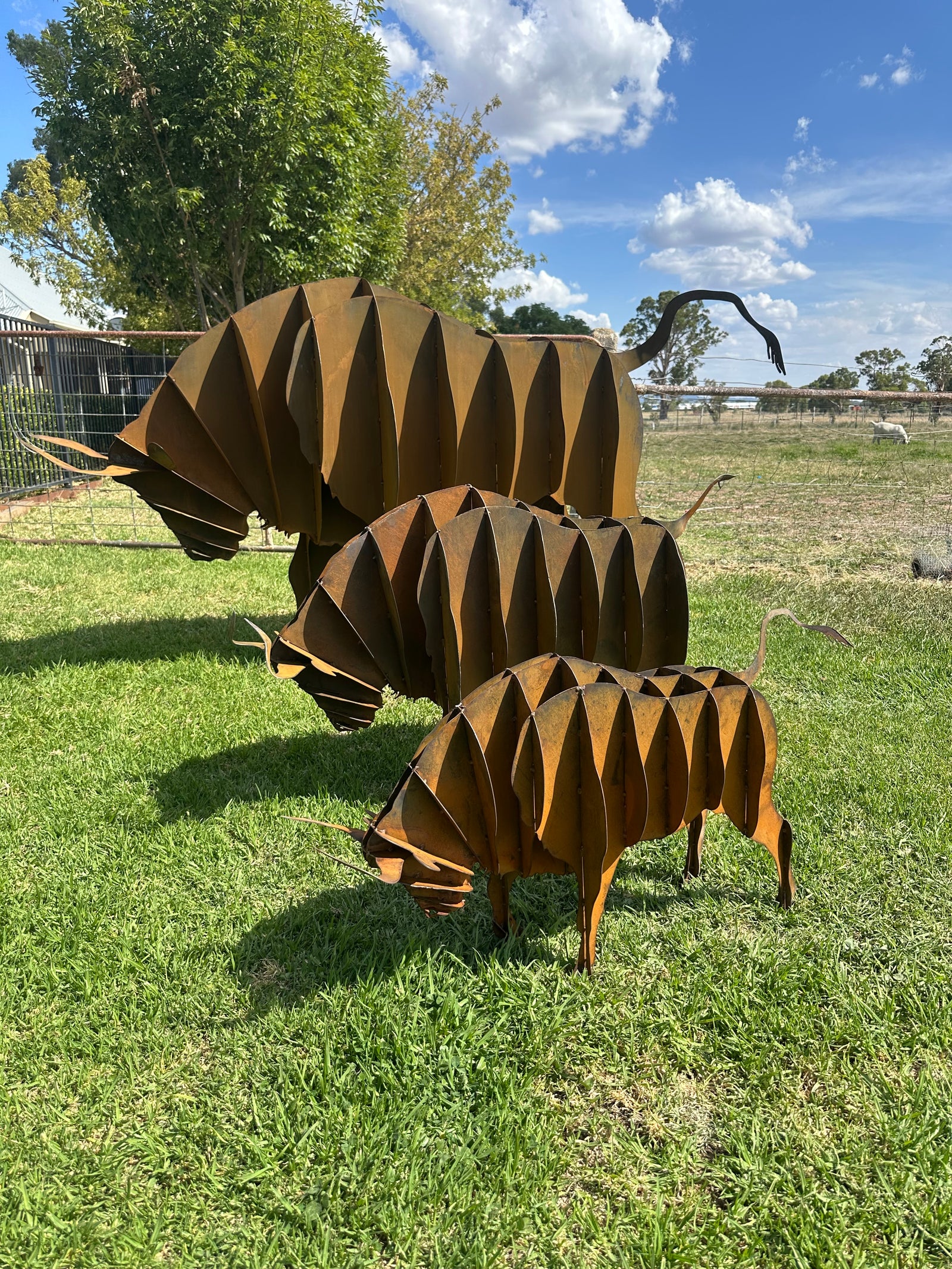 Bull - Metal garden Sculpture - Large Feature - Statement Piece-Old n Dazed