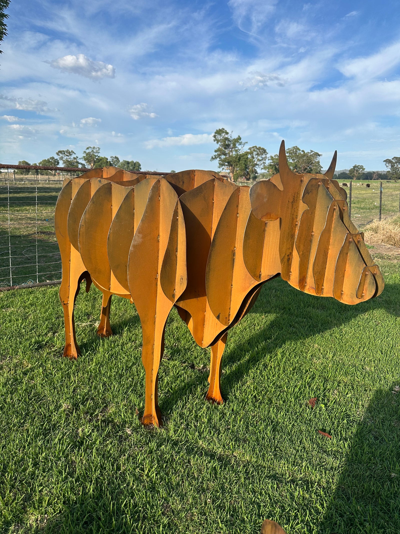 Cow - Metal garden Sculpture - Large Feature - Statement Piece-Old n Dazed